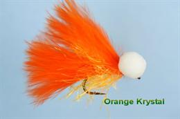 Orange Cat Booby